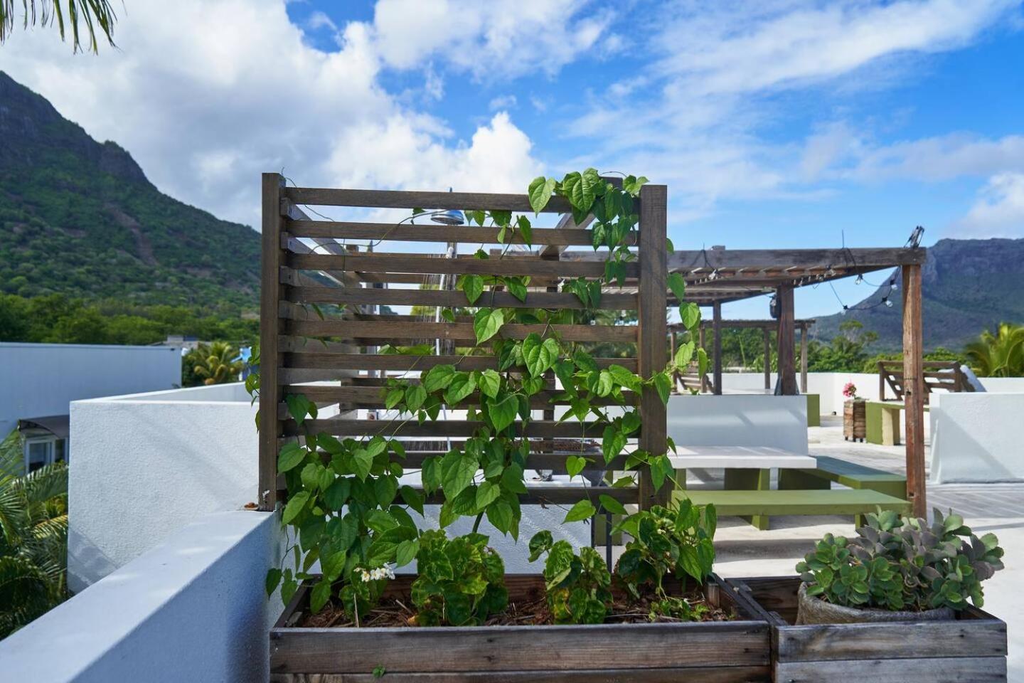 Loukaz -Entire Rental Units W Panoramic Rooftop Coteau Raffin Εξωτερικό φωτογραφία